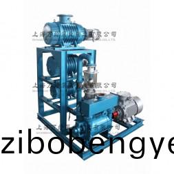 JZJ2BE型(xing)水(shui)環儸茨(ci)真空(kong)泵(beng)機(ji)組(zu)